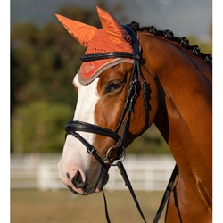 LeMIeux Classic Hut - Ørehætte /Apricot - Modelfoto på hest