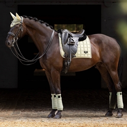 LeMIeux Loire Fleece bandager /Fern Green - På hest med matchende udstyr