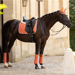 LeMieux Suede Dressurunderlag / Apricot - Hest med matchende udstyr