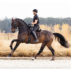 LeMieux Puissance Dressurunderlag Brun/Full - Dressurrytter på hest