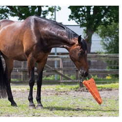QHP Legetøj Til Hest / Carrot-Gulerod /XL- Modelfoto hest på fold