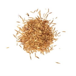 Agrobs Frø Kraütermix /1 kg - En frøblanding af urter til hestefolde - Foto af frøene