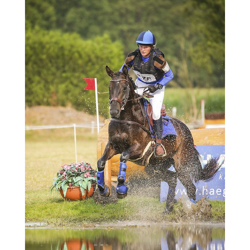 QHP Eventing gamacher Bagben - Military rytter