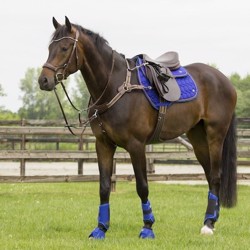 QHP Eventing gamacher Koboltbå med matchende klokker