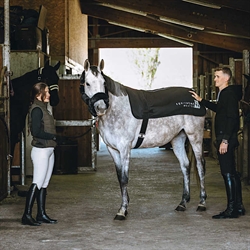 Equitheme Batteriopvarmet rygvarmer til hest - Modelfoto af hest i stald