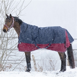 Equitheme TYREX High neck 1200 D Dækken 300 g /Navy-Bordeaux - Modelfoto