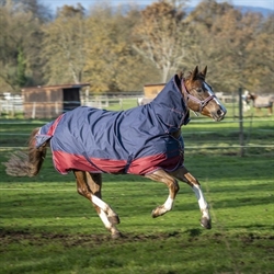 Equitheme TYREX Med hals 1200 D Dækken 350 g /Navy-Bordeaux - på hest i galop