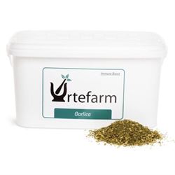 Urtefarm Garlica 2 kg.