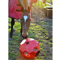 Hay Play Ball - Hest med rød Hay play ball