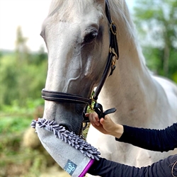 Henry Wag Drying Glove - Til Hund & Hest /Grå - til hest og hund