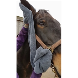 Henry Wag Microfiber Glove Towel - Modelfoto med hest