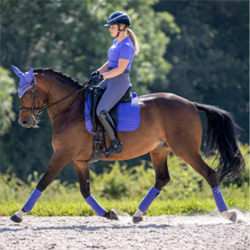 LeMieux Suede Dressurunderlag / Bluebell - Hest og rytter