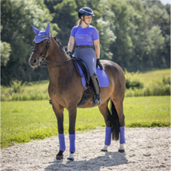 LeMieux Suede Dressurunderlag / Bluebell - Modelfoto