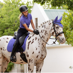 LeMieux Suede Dressurunderlag / Bluebell - Modelfoto hest & rytter