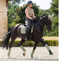 LeMieux Suede Dressurunderlag / Fern Green - Dressurhest med rytter