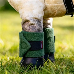 LeMieux Toy Pony Bandager /Hunter Green sæt med 4 stk. vist på Toy pony