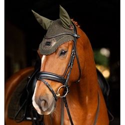 LeMieux Adour Hut / Oak Green - Modelfoto på hest
