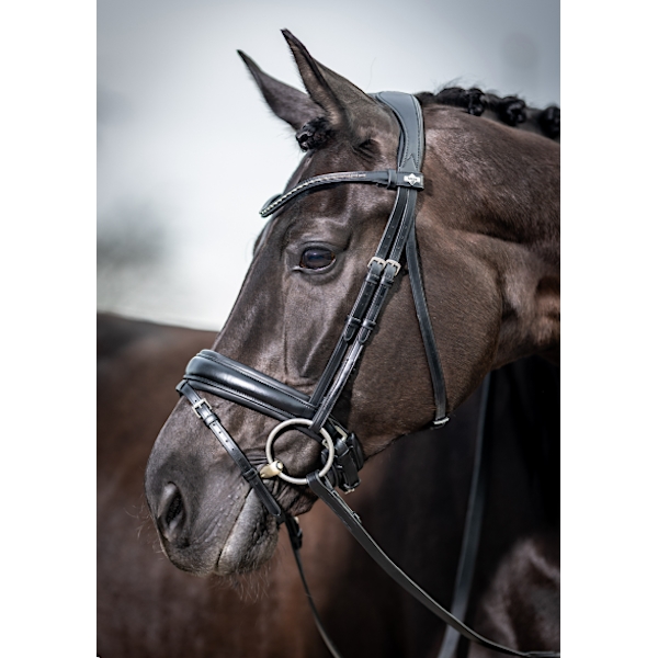 LeMieux Classic Dressage Trense / Sort - Modelfoto