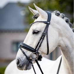 LeMieux Classic Dressage Trense / Sort - På hvid hest