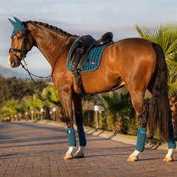 LeMieux Loire Classic Dressurunderlag - Marine Blå - Hest med matchende udstyr