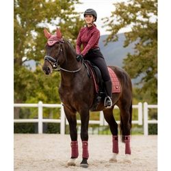 LeMIeux Loire Classic Dressurunderlag /Orchid - Modelfoto