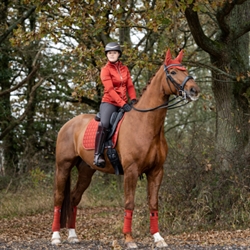 LeMieux Loire Classic Dressurunderlag - Sienna - Modelfoto