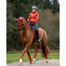 LeMieux Loire Classic Dressurunderlag - Sienna - Hest med rytter