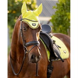 LeMieux Loire Classic Dressurunderlag / Kiwi - Modelfoto hest