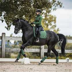 LeMieux Loire Dressurunderlag /Hunter Green - På Hest