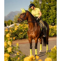 LeMieux Loire Classic Dressurunderlag / Kiwi - Hest med dressurrytter