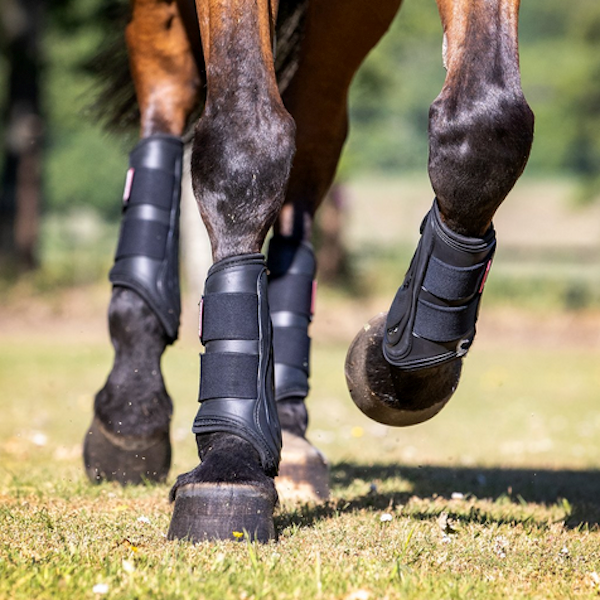 LeMieux ProShell Gamacher /Sort