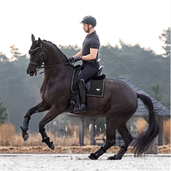LeMieux Puissance Dressurunderlag Sort/Full - Dressurrytter på hest