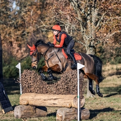 LeMieux Suede Springunderlag - Sienna - Modelfoto - Springhest med rytter