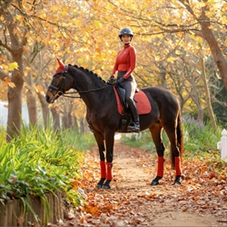 LeMieux Suede Dressurunderlag - Sienna-Orange - Hest med rytter