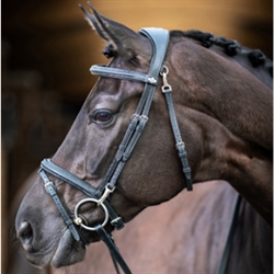 LeMieux Work Bridle Trense / Sort - På hest