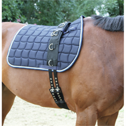 Covalliero Longeringsgjord - Nylon med blød polstring