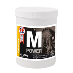 M-Power fra NAF - Tilskud til heste - Muskelkraft, udholdenhed og styrke