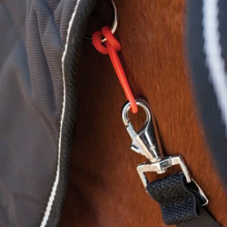 Nordic Horse Gummistropper / Sikkerhedsstropper til hønet mm.