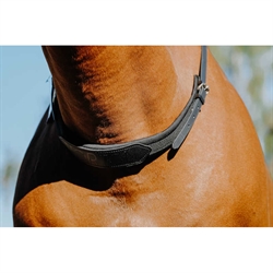 Norton Cordeo - Justerbar med bred polstring /Sort - Vist på hest
