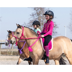 QHP Bareback pad - Ridepad - Fuchia pink på ponyer