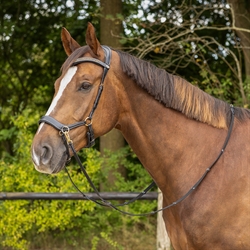 QHP Bidløs Trense SUNNA /Brun - Modelfoto af hest