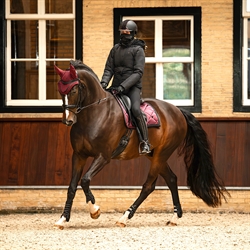 QHP Dressurunderlag ZAHRA / Wine Red - Vist på dressurhest