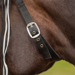 QHP Fluefrynser EKSTRA /Zebra - Close up af halsrem