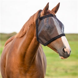 QHP Fluemaske uden ører - Modelfoto vist på hest