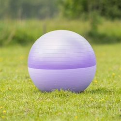 QHP Fodbold til hest / 2 Tone Lilla / 75 cm Ø - Vist på mark