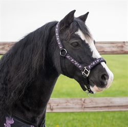 QHP Grime LIZE - Med unicorns - Vist på sort pony