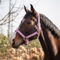 QHP Grime LYVIA - Med Hjerter - Vist på hest