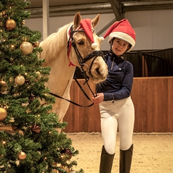 QHP Nissehue til hest & Pony - Modelfoto - Vist på pony