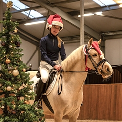 QHP Nissehue til hest & Pony - Modelfoto - Pony med rytter