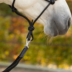 QHP Flettede tøjler LIBERTA /Sort - Close up på hest